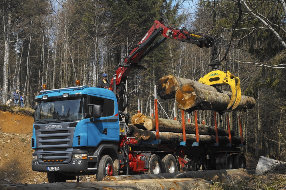 Введён контроль на транспортировку древесины
