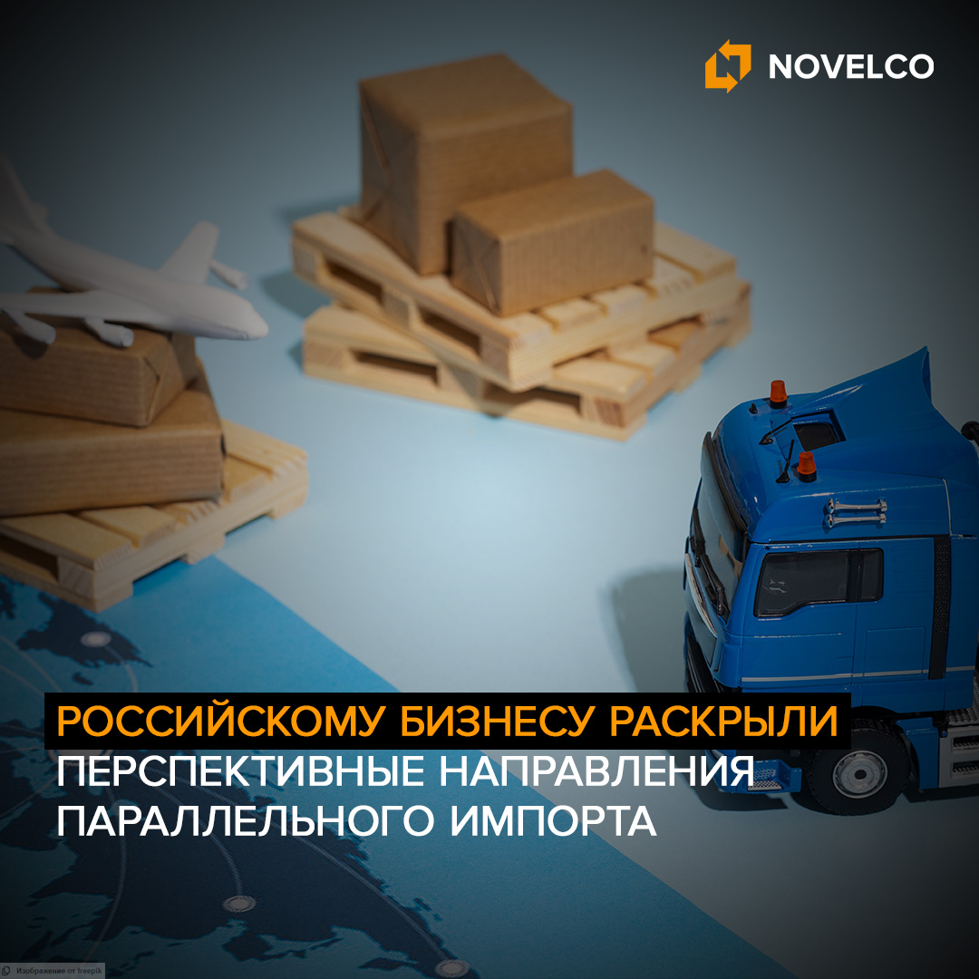 Российскому бизнесу раскрыли перспективные направления параллельного импорта