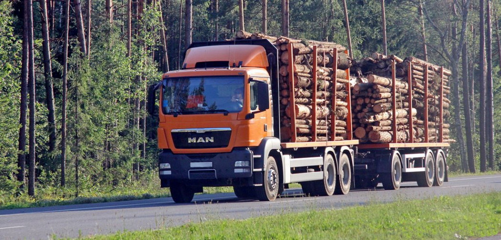 Правила перевозки леса автотранспортом
