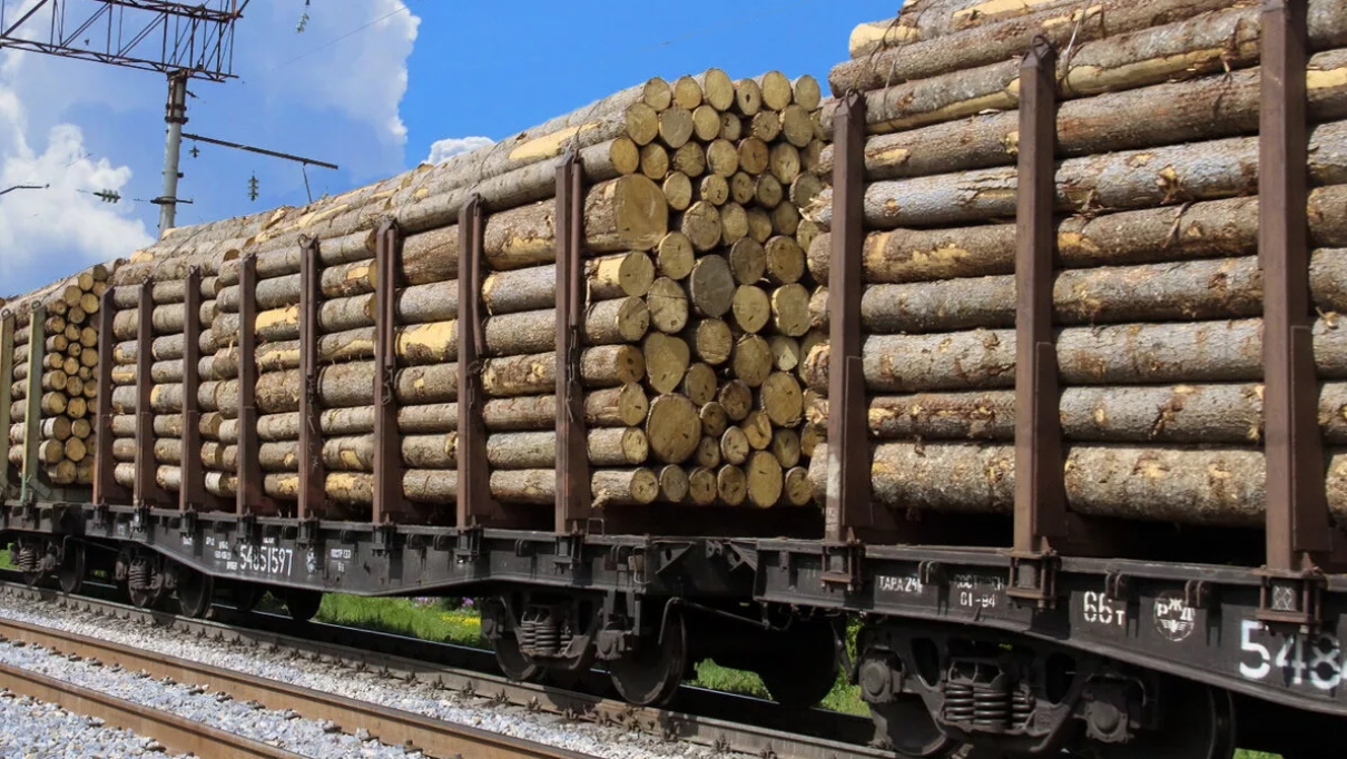 Раскрыта схема вывоза лесоматериалов в Китай на незаконных основаниях