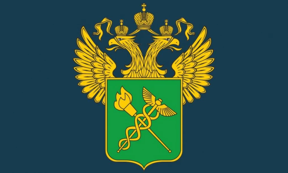 skhemy-tamozhennogo-oformleniya
