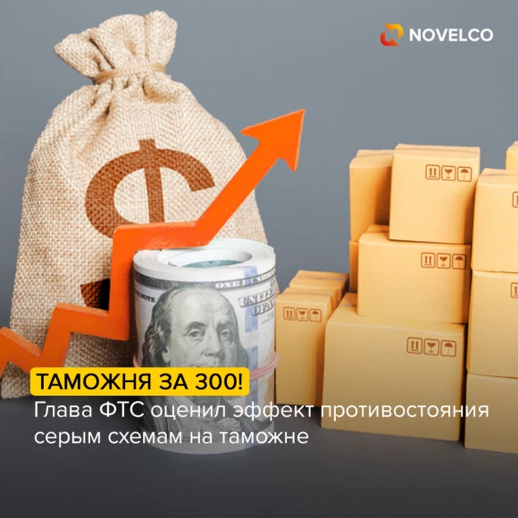 borba-so-skhematosami-za-300-glava-fts-otsenil-effekt-protivostoyaniya-serym-skhemam-na-tamozhne