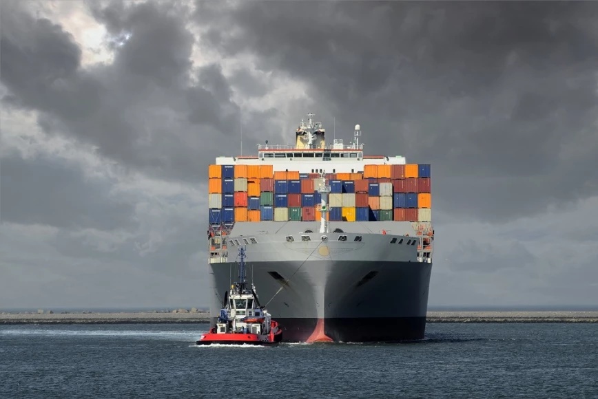 kitayskaya-konteynernaya-liniya-stf-shipping-zapustila-servisy-na-rossiyskiy-dalniy-vostok